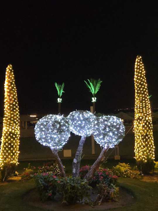 Gartenanlage Pickalbatros Palace Resort