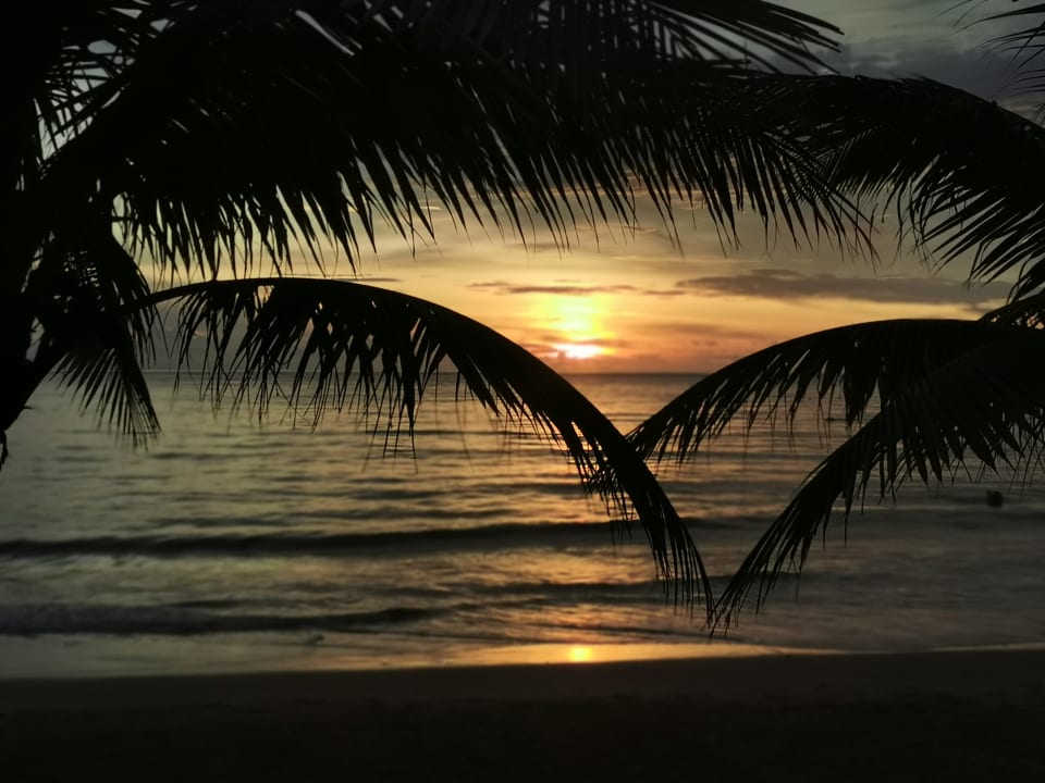 Ausblick La Flora Khao Lak