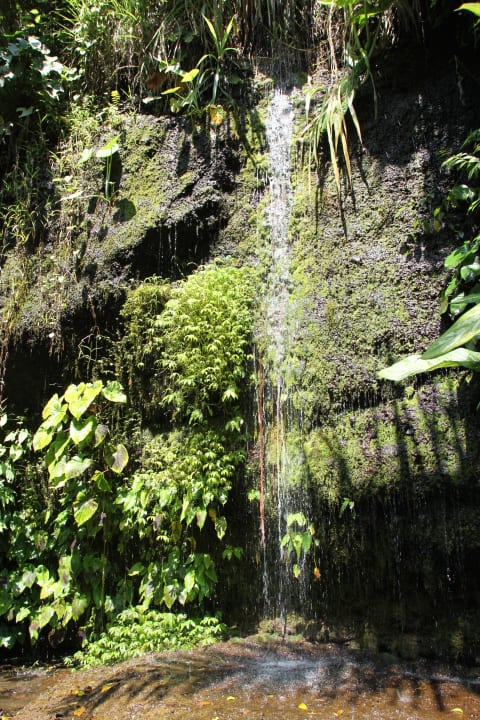 Kleiner Wasserfall  Maya Ubud Resort & Spa Bali