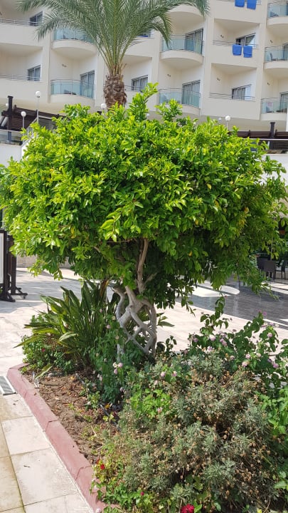 Garten Saphir Resort & Spa