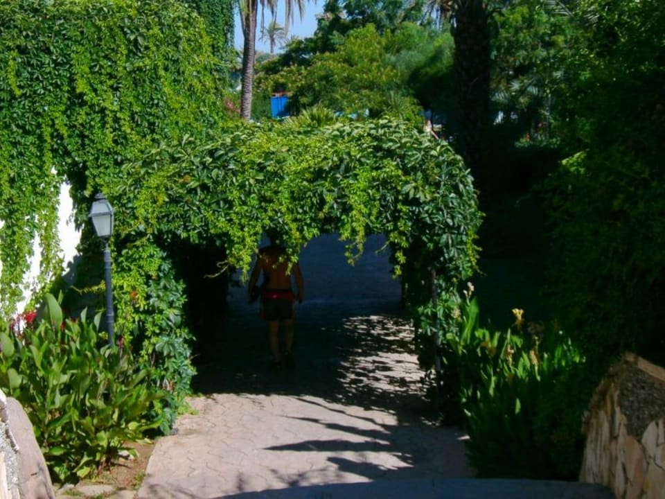 Anlage Belconti Resort Hotel