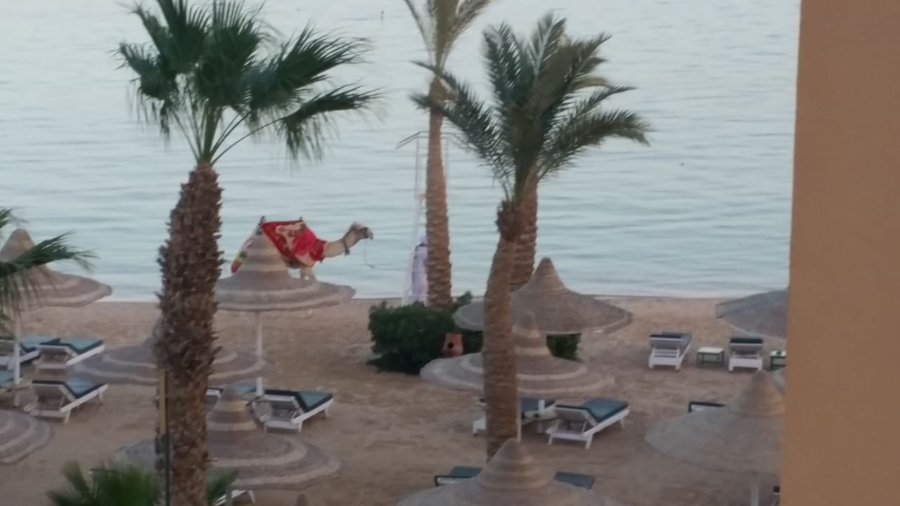 Ausblick Giftun Azur Resort