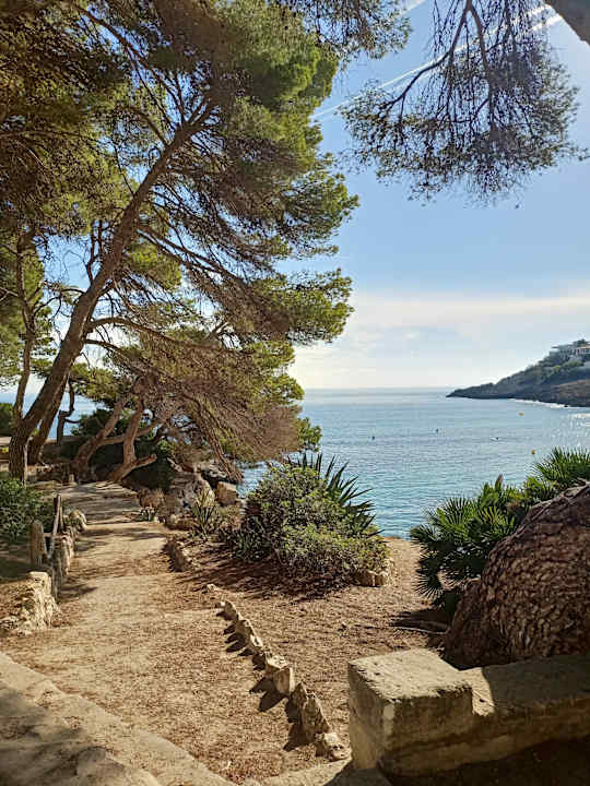 Ausblick Iberostar Waves Pinos Park