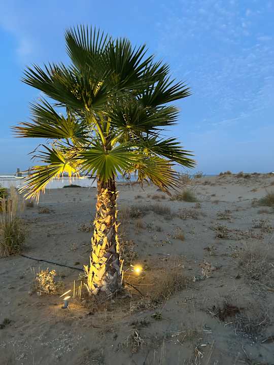 Strand Anemos Luxury Grand Resort