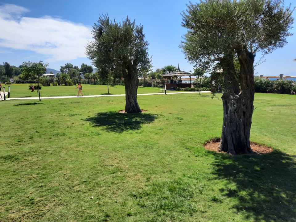 Gartenanlage Korumar Ephesus Beach & Spa Resort