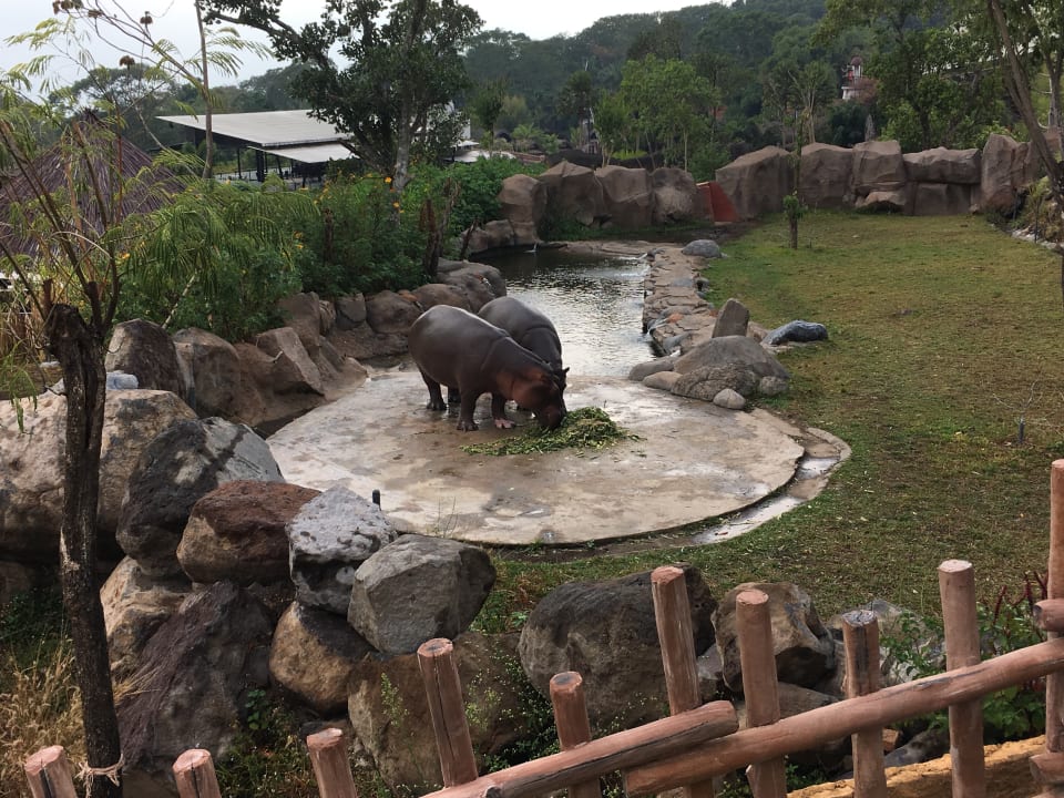 Außenansicht Baobab Safari Resort