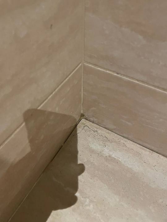 Zimmer Dizalya Palm Garden