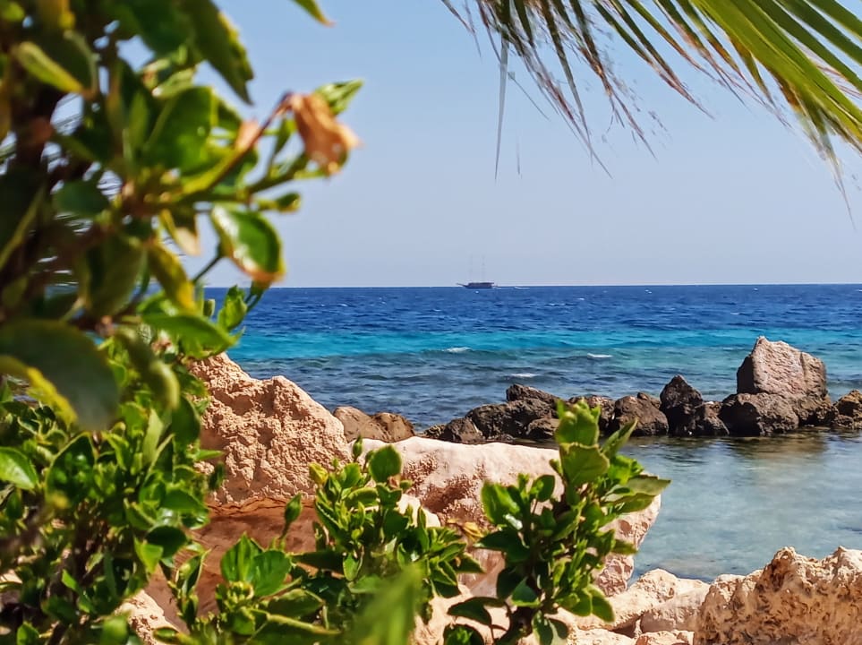 Strand Pickalbatros Citadel Resort