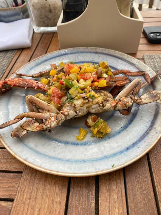 Gastro Steigenberger Resort Ras Soma