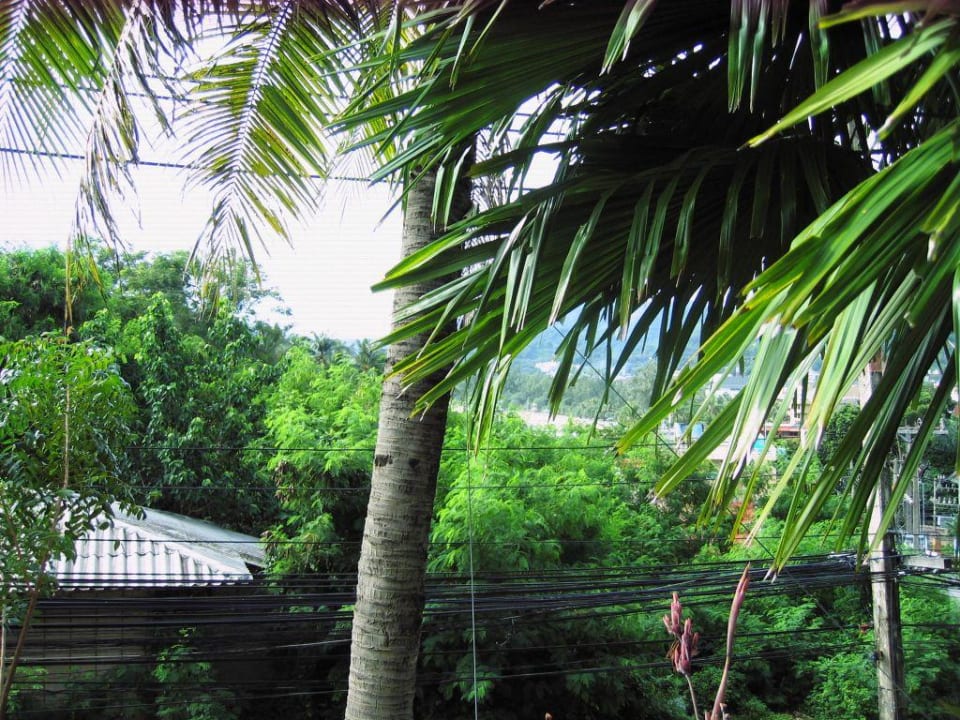 Blick zur Strasse Luxery Apartments Kata Gardens