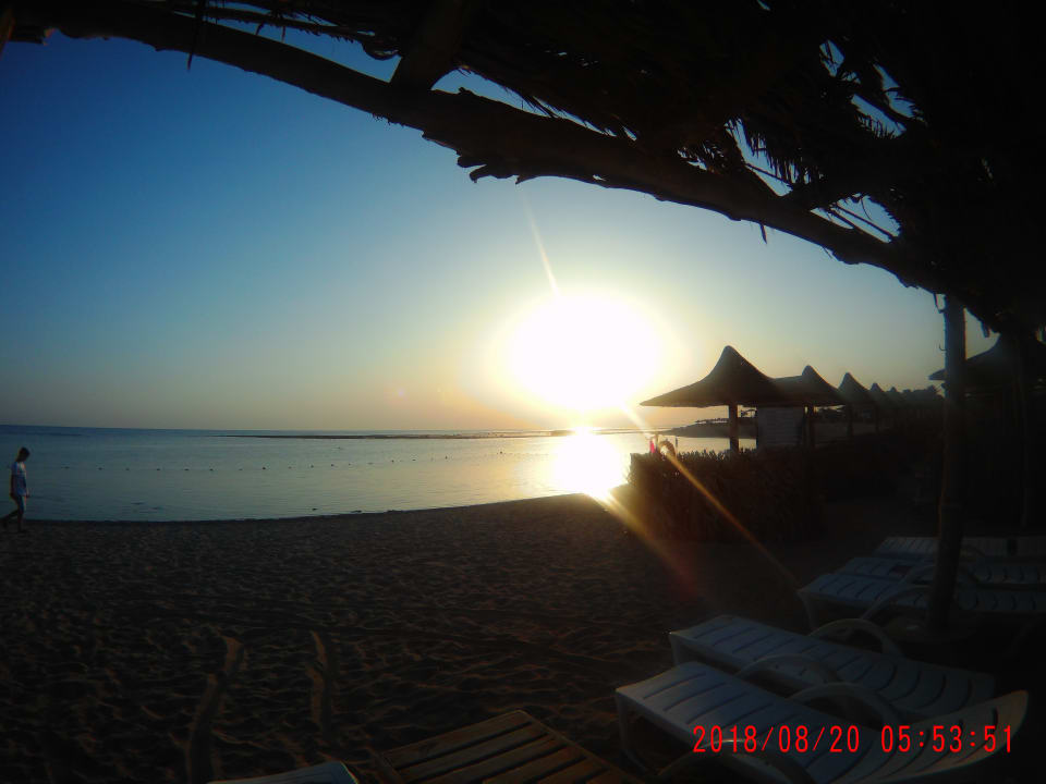 Strand Utopia Beach Club
