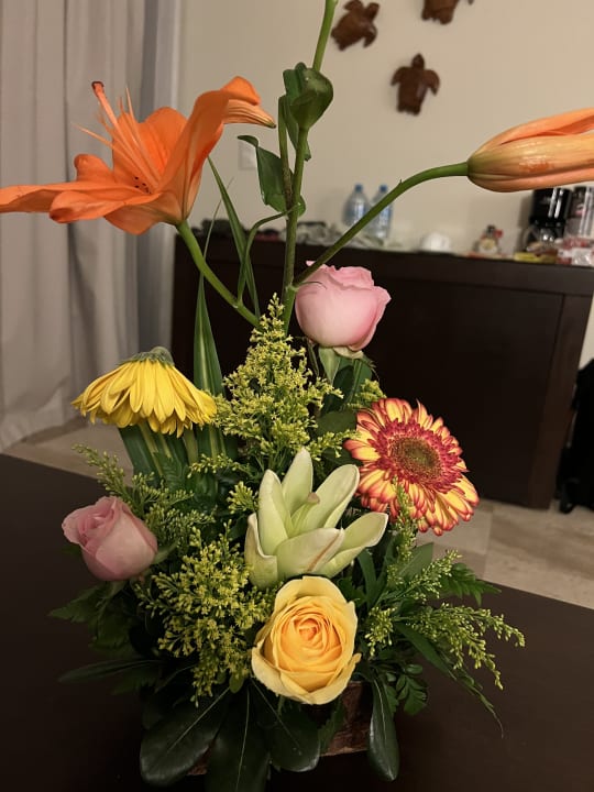 Zimmer Akumal Bay Beach & Wellness Resort