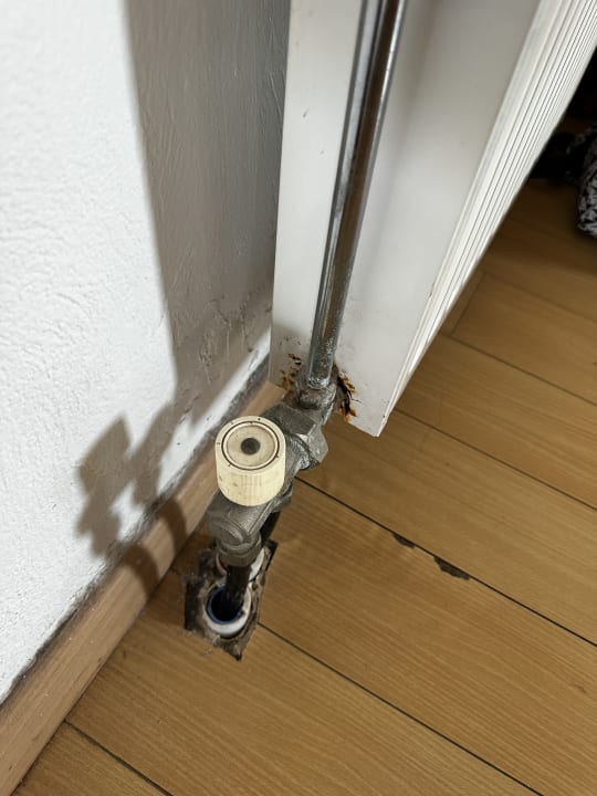 Zimmer Aelius Hotel and Spa