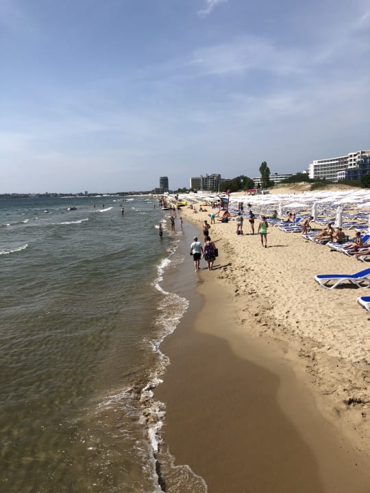 Strand HVD Club Bor