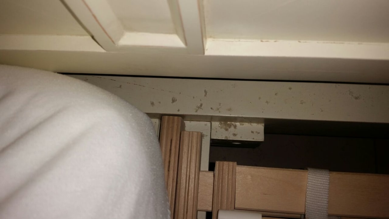 Zimmer Tropical Islands Resort