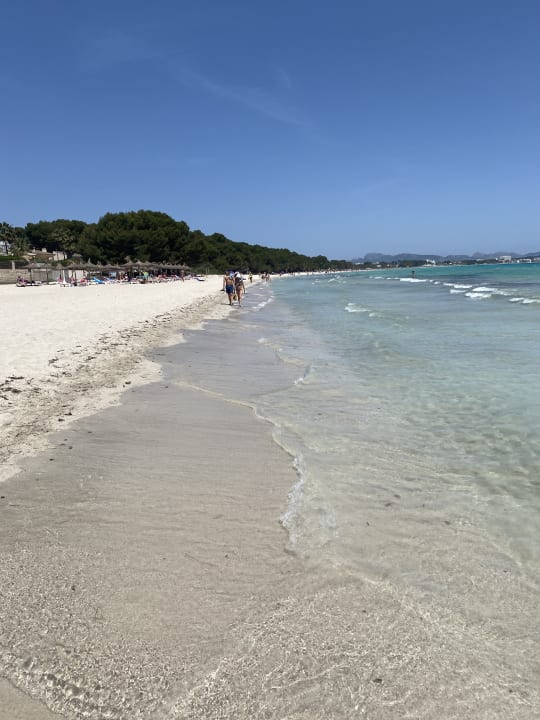 Strand Grupotel Los Principes & Spa