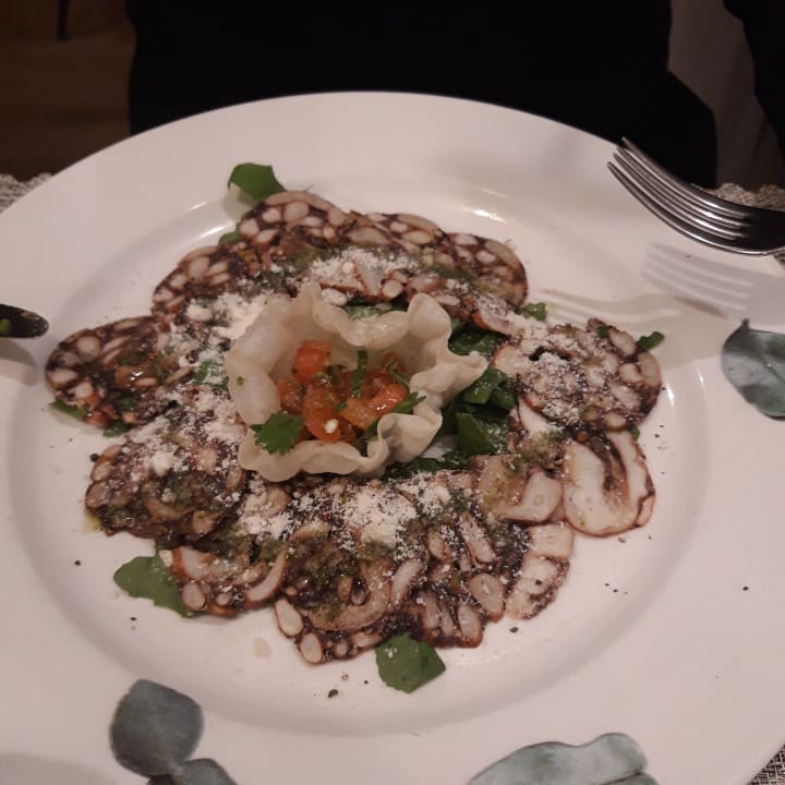 Gastro Acanthus Cennet Barut Collection