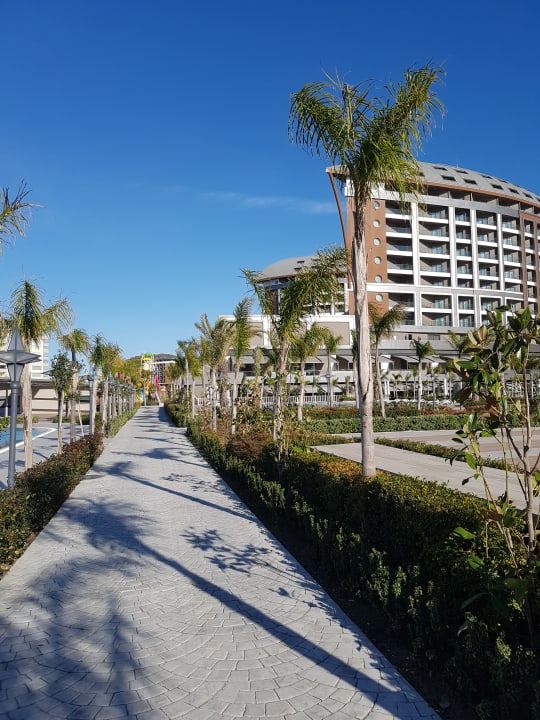 Sonstiges Royal Seginus