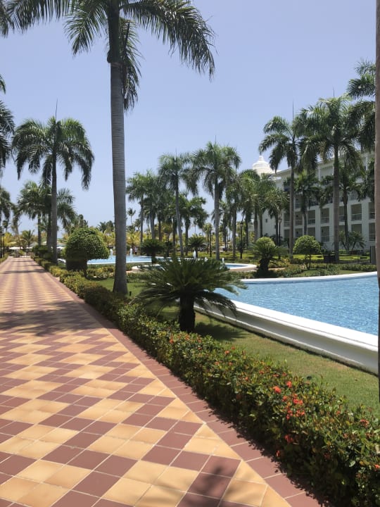 Gartenanlage Hotel Riu Palace Punta Cana