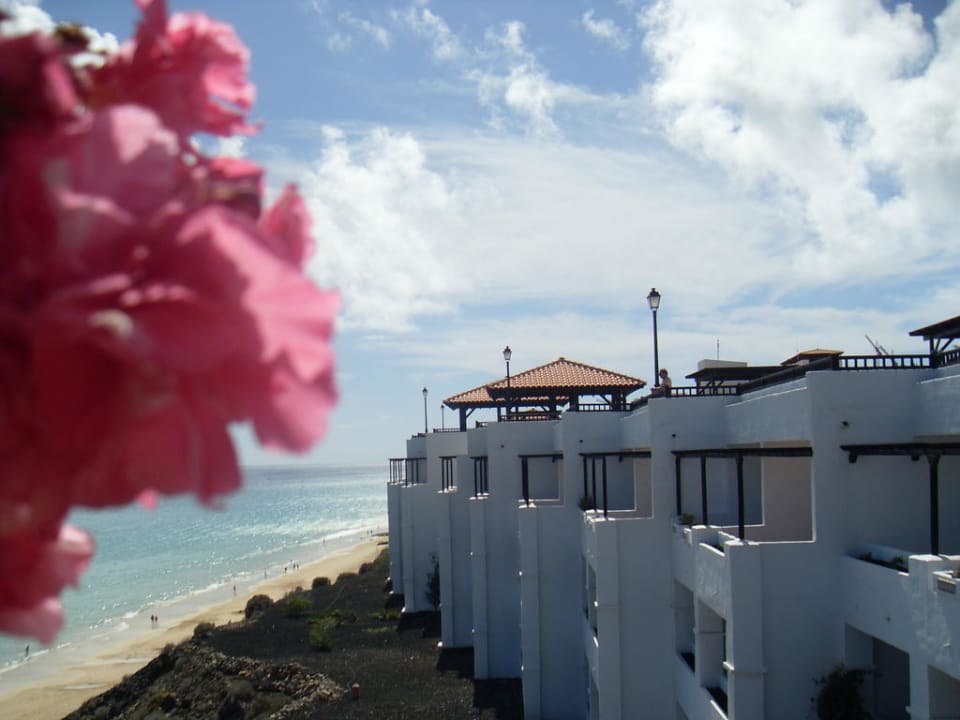 Ausblick zu Hotel Block 14 TUI MAGIC LIFE Fuerteventura