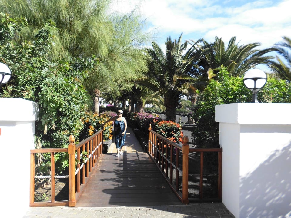 Ponticello per l'entrata Relaxia Olivina