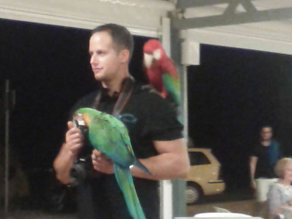 Beachbar am Abend Barceló Portinatx - Adults only