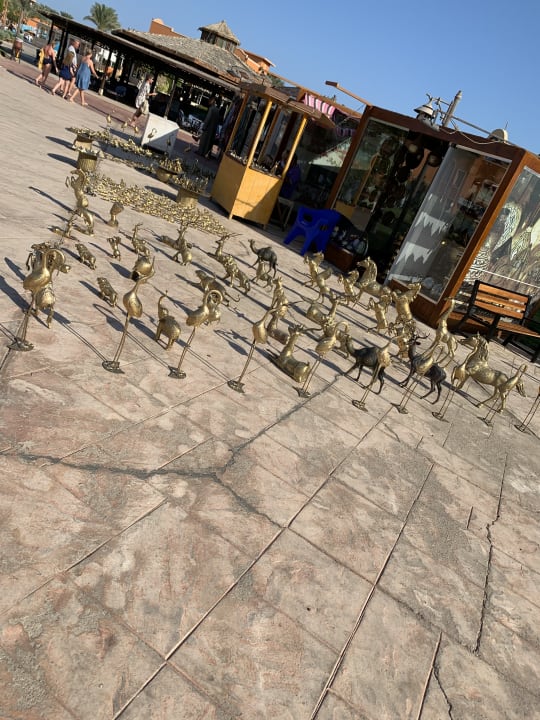 Sonstiges Sentido Caribbean World Soma Bay