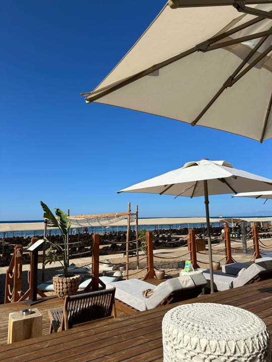 Strand TUI MAGIC LIFE Jacaranda