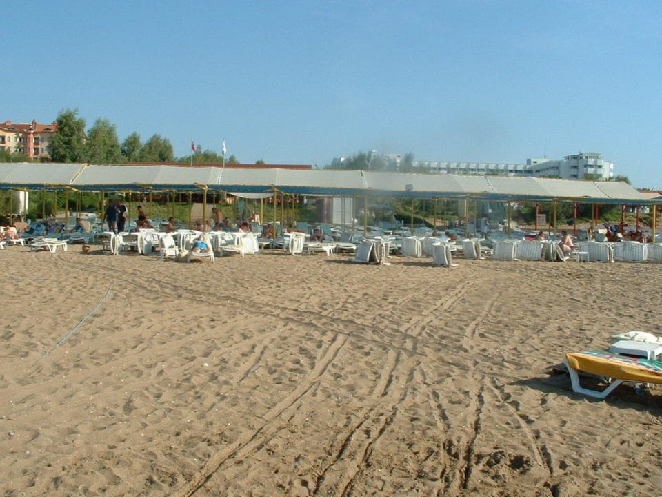 Strandliegen Hotel Orfeus Park