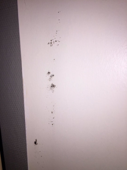 Schimmel an der Zimmerwand Leonardo Hotel Heidelberg-Walldorf