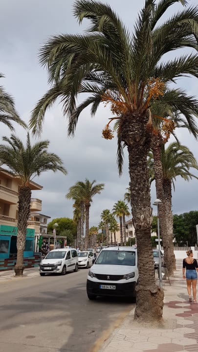 Ausblick The Sea Hotel by Grupotel - Adults only