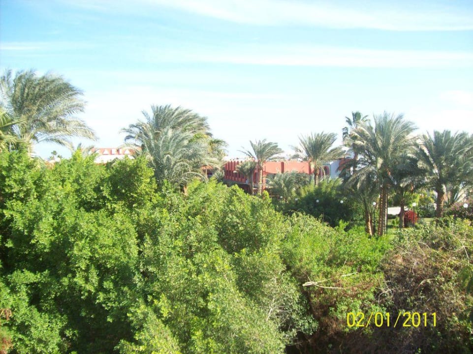 Blick von Hauptstraße zum Hotel  Arabia Azur Resort