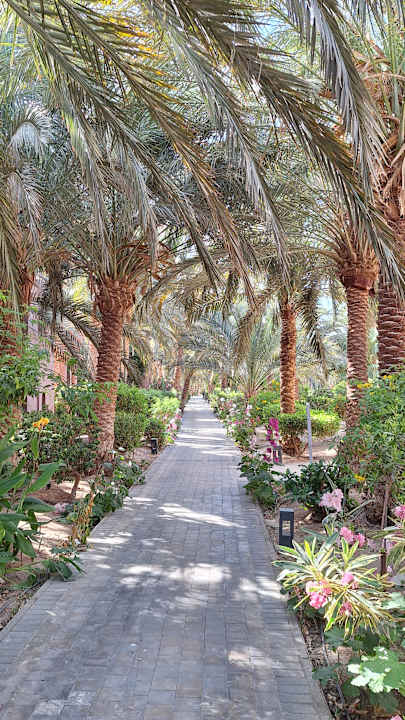 Gartenanlage Sheraton Miramar Resort El Gouna