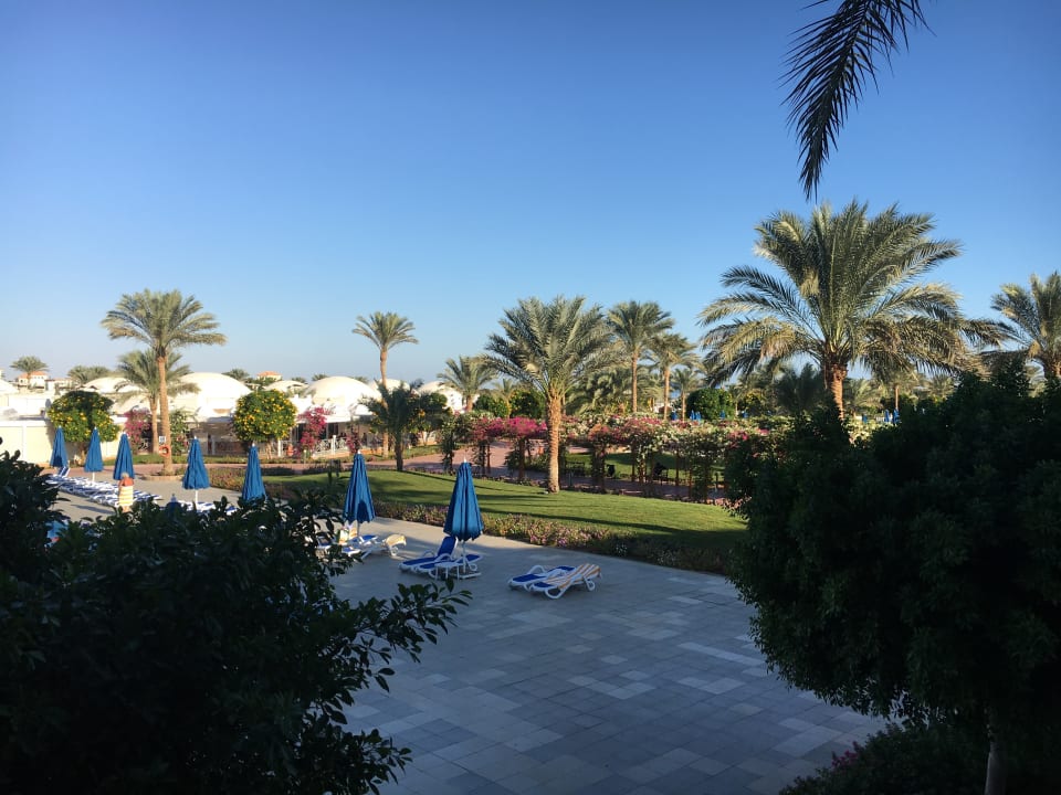 Ausblick Desert Rose