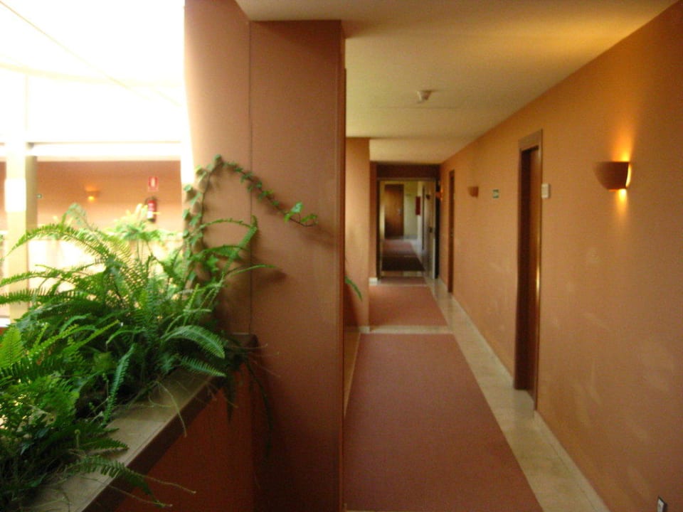 Hotelflur zu den Zimmern Bakour Oh Nice Costa del Sol