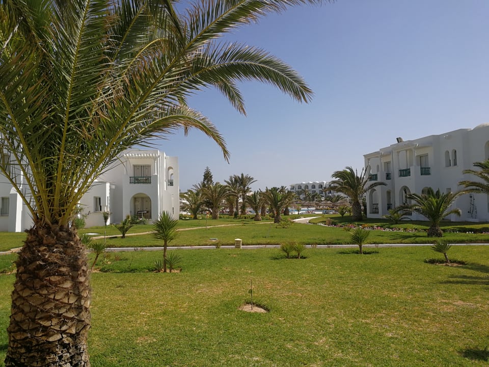 Zimmer Vincci Helios Beach