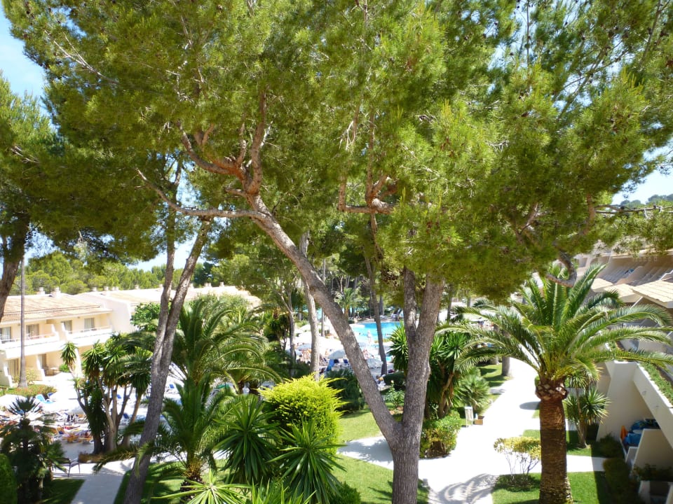 Ausblick vom Zimmer Iberostar Waves Pinos Park