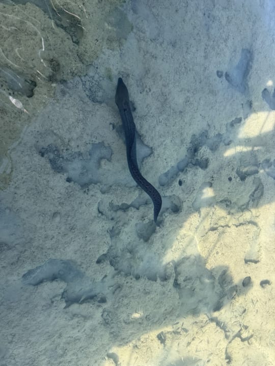 Strand Stella Beach Resort & Spa Makadi Bay