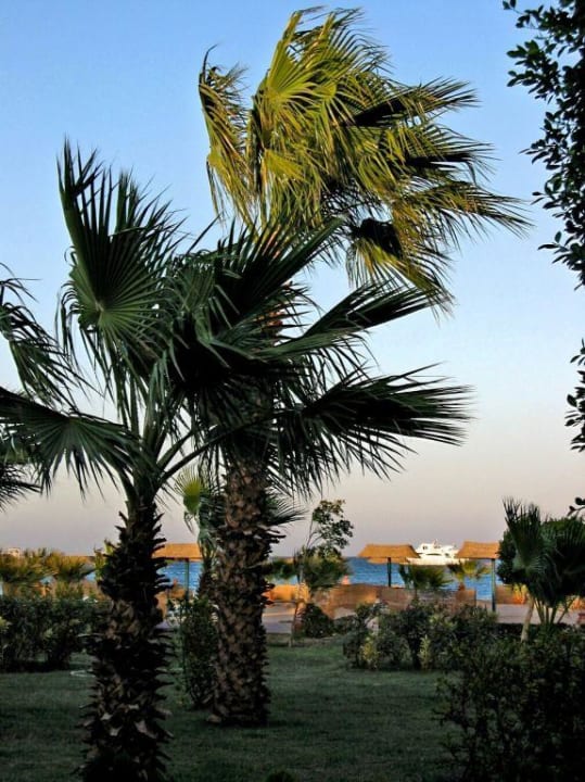 Abendstimmung Lotus Bay Beach Resort