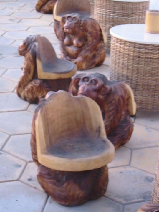 andere Sitzgelegenheit im Monkeys Park Club Europe