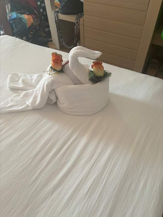 Zimmer Seaden Corolla Hotel