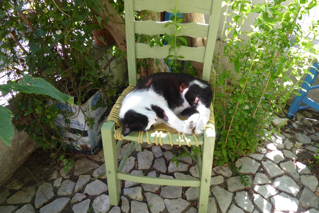 Gartenanlage Hotel Golden Sun