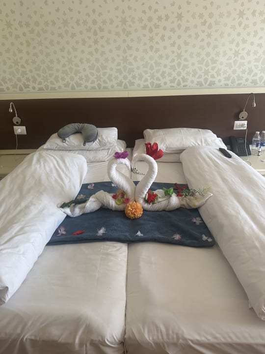 Zimmer ROBINSON SOMA BAY