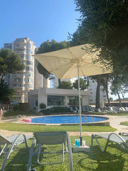 Pool BQ Belvedere Hotel