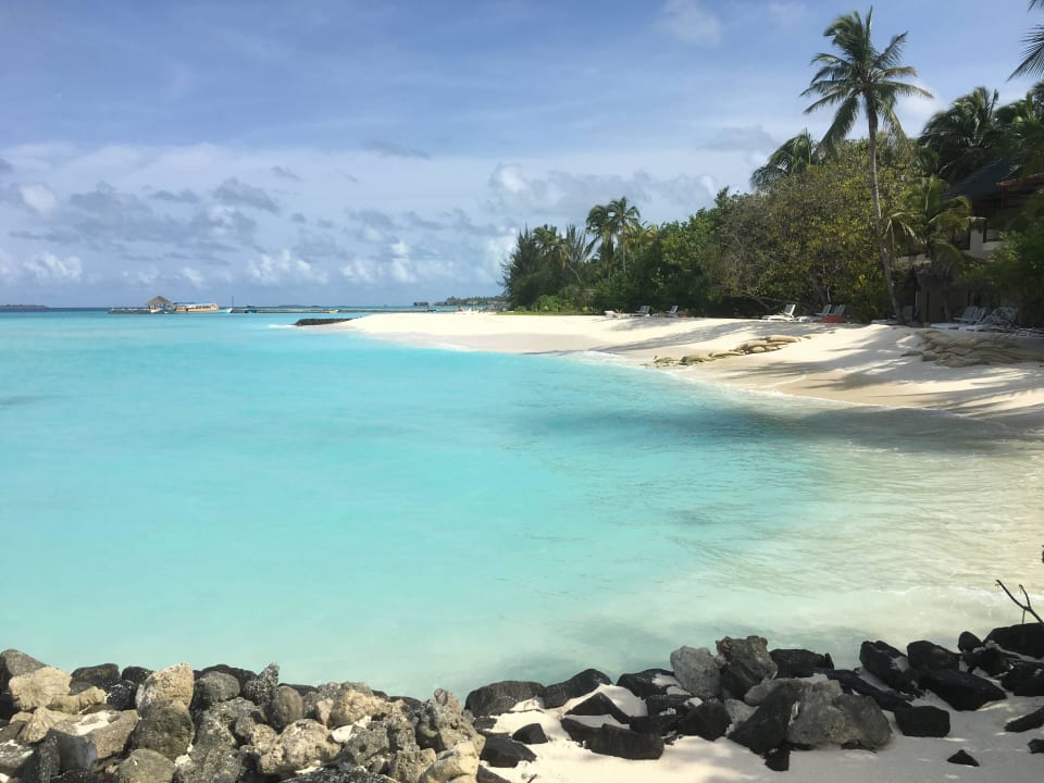 Postkartenmotiv Summer Island Maldives