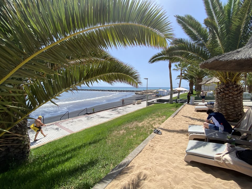 Gartenanlage Hotel Riu Palace Tenerife