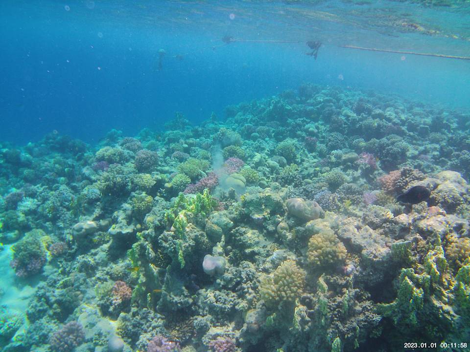 Strand Grand Waterworld Makadi & Family Star Makadi