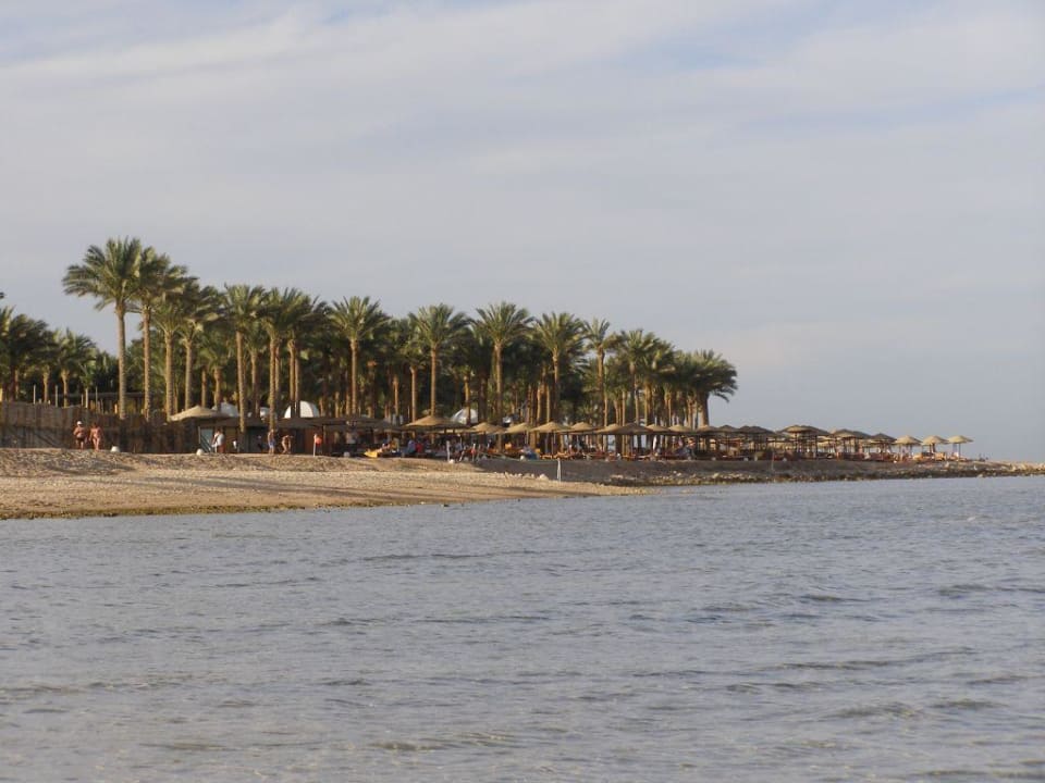 Hotelstrand mit Palmen Makadi Palace