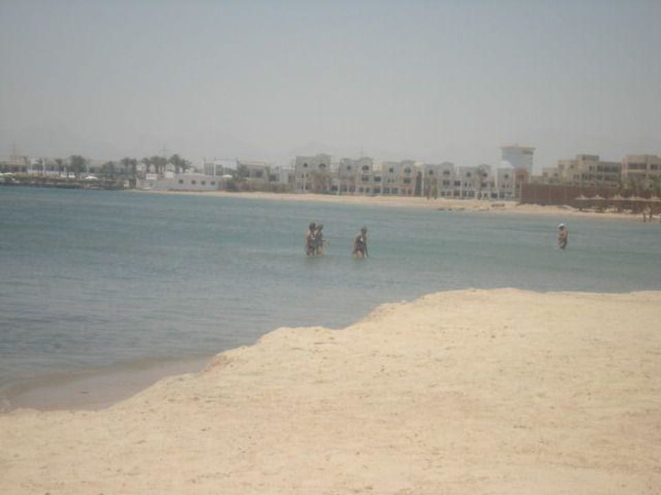 der Strand vom Palace  Beach Albatros Resort