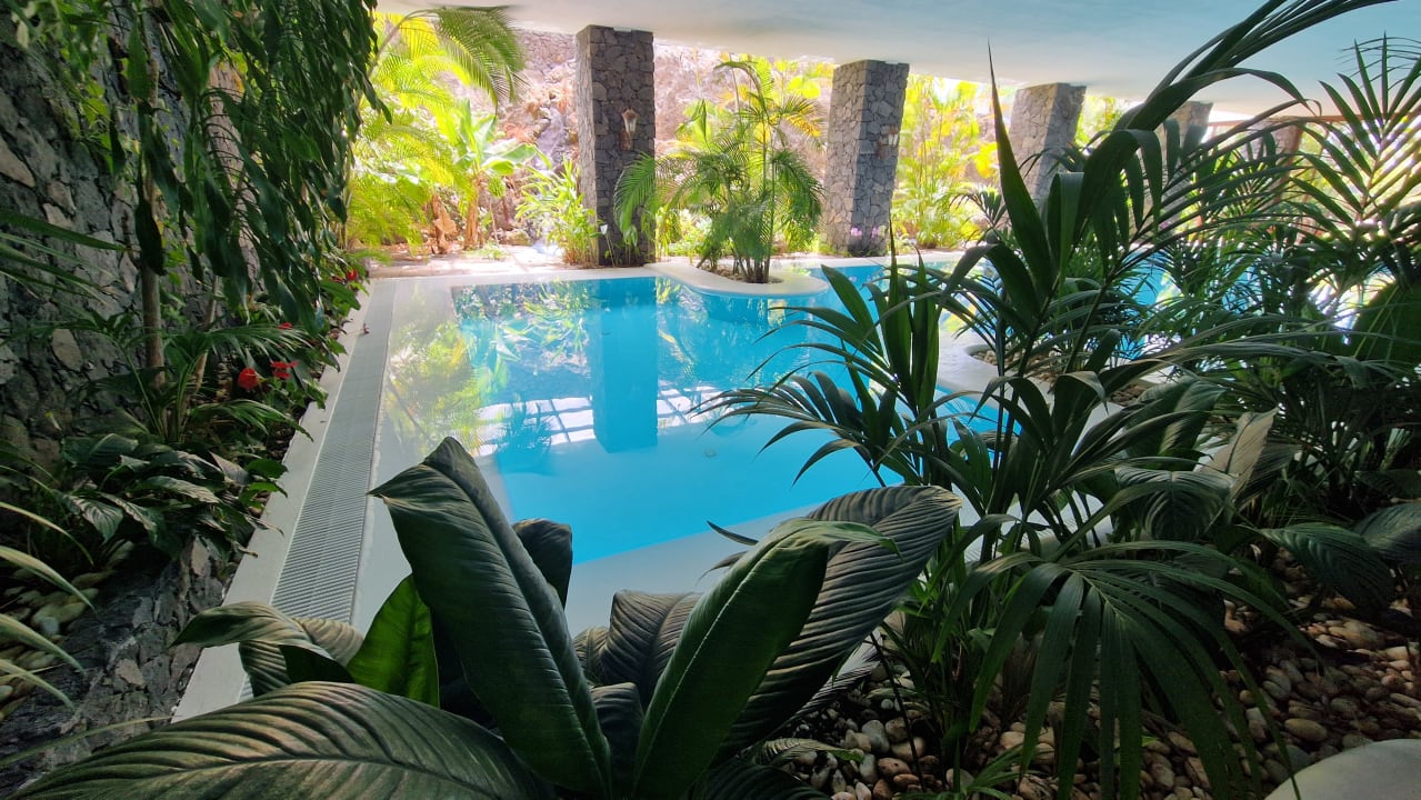 Pool La Palma Jardin